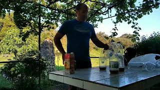 Trampa fácil para Avispa Asiática