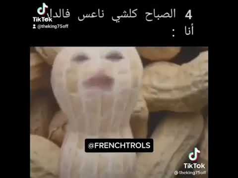 انا الكاوكاو ة في 4 صباحا