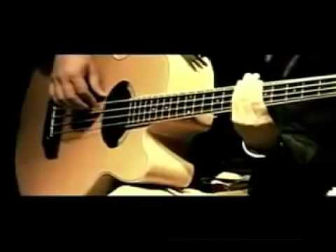 Steven \u0026 Coconut Treez - Never Let Go [Live]