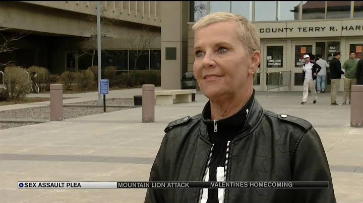 Man pleads guilty to sexually assaulting 4-year-old girl, may avoid jail time