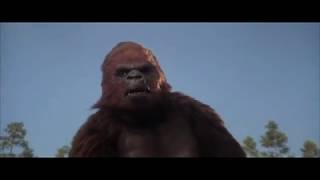 12. Lady Kong Gets Gassed (King Kong Lives 1986) Soundtrack