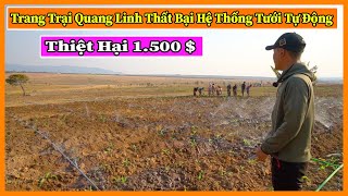 Quanglinhvlogs || Thừa Nhận Thất Bại Trong Hệ Thống Tưới Tự Động Tại Quang Linh Farm - Thiệt Hại Lớn