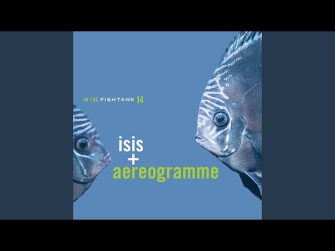 Watch Low Tide on YouTube Watch Low Tide on YouTube