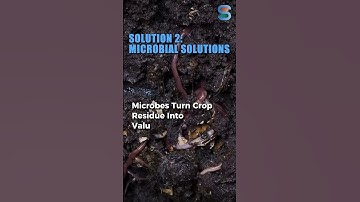 Solutions to Stubble Burning #airpollution #stubbleburning #innovation