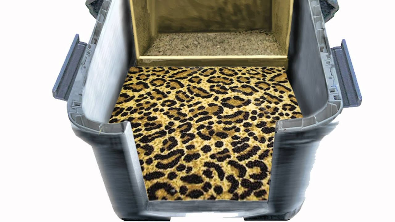 Pet Traveler, designed by Karen Chandler | Video production by Diego Rios