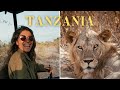 Safari of a lifetime  tanzania cinematic documentary