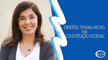 Qual artigo fala do direito ao trabalho?