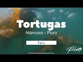 Tortugas en Máncora Piura - Lima Perú 🇵🇪 - Mar Pacífico -