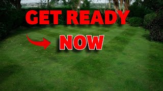 Summer’s Nearly OVER! Fix Your Lawn Before It’s Too Late