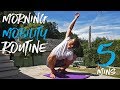 5 Minute Morning Mobility Routine!