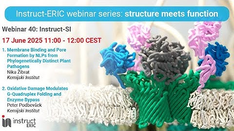Structure Meets Function Webinar 40 | Instruct-Slovenia