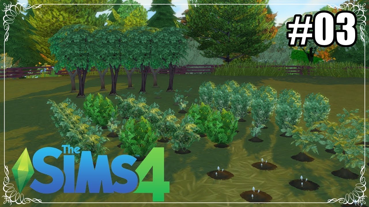 The Sims 4 - Guia de jardinagem do The Sims 4: enxertos, plantas de estação  e Sims-plantas