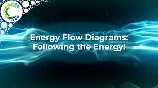 Energy Flow Diagrams: Following the Energy!