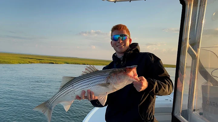 Striped Bass Fishing Jersey 2022