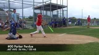 2014 Fishers Tigers 8U Travel Baseball