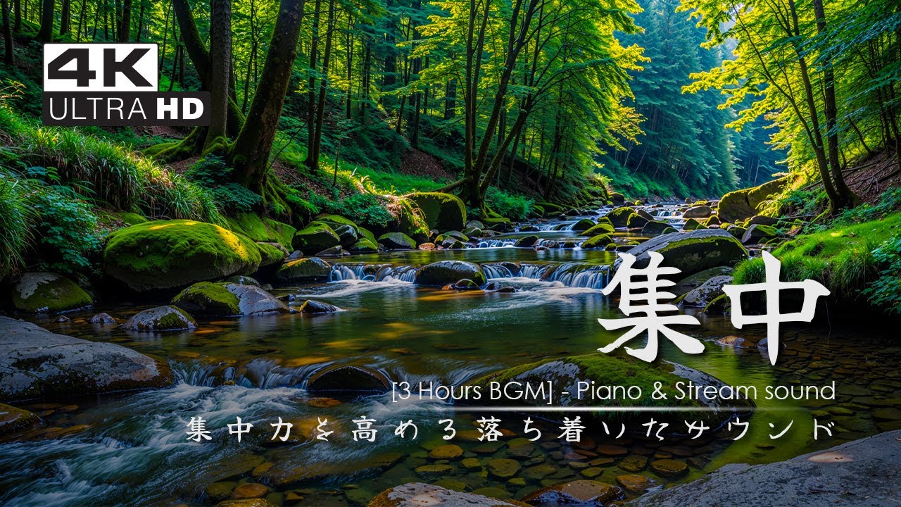 【Study BGM / Nature Sound】穏やかな森のせせらぎ＋ピアノ｜集中力を高める落ち着いたサウンド