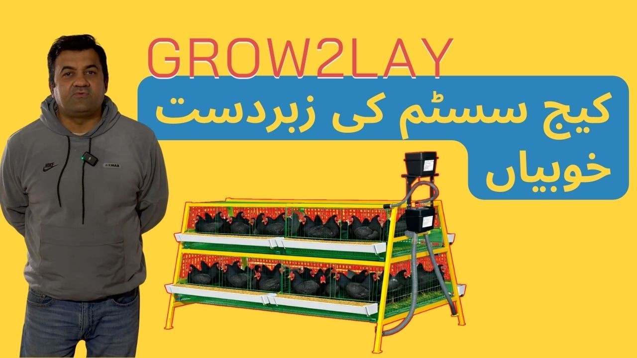 Grow2Lay Cage System – Outstanding Features