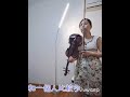 701-5 布蘭登堡協奏曲no. 5 第一樂章