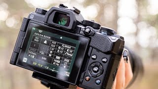 Top 5 Focus Tips & Tricks for Wildlife | Olympus OM-D