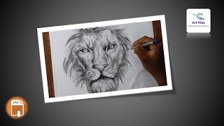 step lion face easy draw