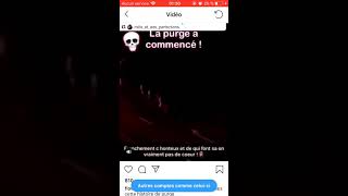 LA PURGE EN FRANCE PART EN COUILLES