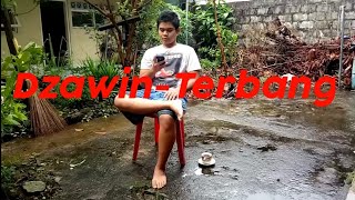 Lirik Lagu Terbang - Dzawin