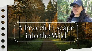 Somewhere in Sweden, where the forests whisper, and life moves a little slower Somewhere in Sweden, where the forests whisper, and life moves a little slower