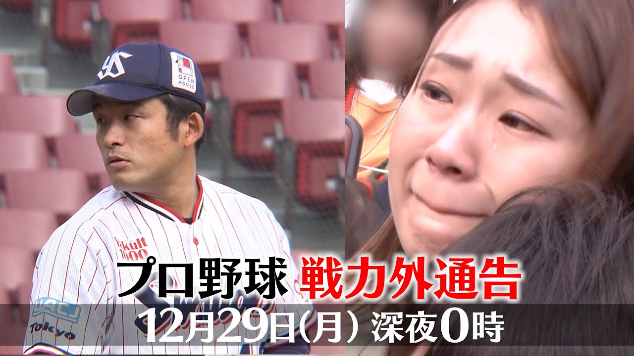 プロ 野球 戦力 外