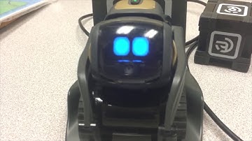 [Python Code] Simple SDK Code for Vector (Combining Voice & Image)