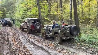 Willys. Ford GPW. Осенний офф-роуд в Хотьково (ч.2)_Autumn off road at Khot'kovo (p.2) on Sep. 2023