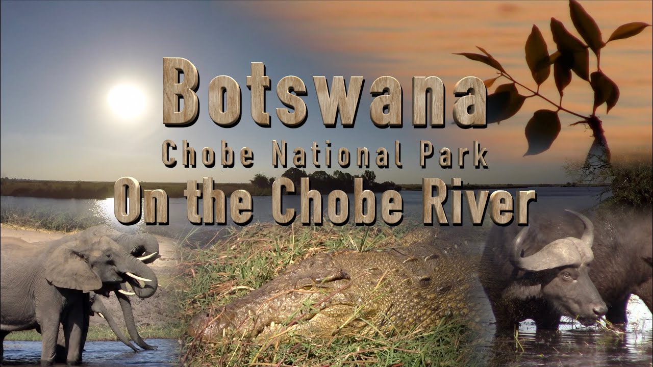 ON THE CHOBE RIVER - CHOBE NATIONAL PARK - Botswana - YouTube