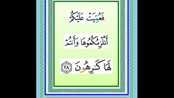 القرآن الكريم الجزء الثانى عشر سورة  هود ويوسف  تلاوة الفضلاء  المعيقلى ومحمد عبد الكريم