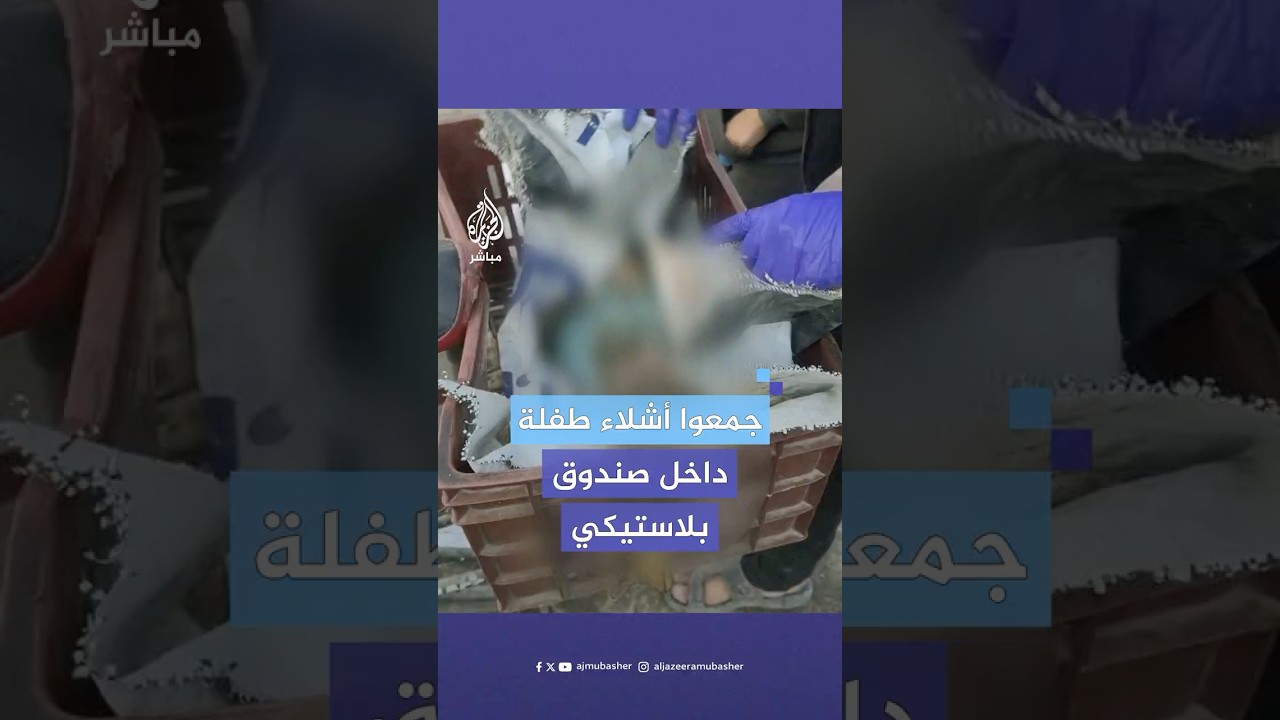 جمع أشلاء طفلة داخل صندق بلاستيكي بعد قصف الاحتلال الإسرائيلي مدرسة الفارابي في مدينة غزة