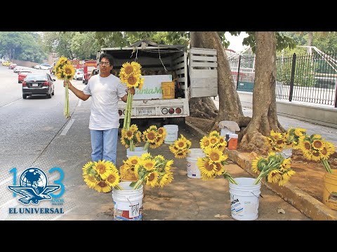 Exchofer de AMLO ahora vende flores y espera justicia de la 4T