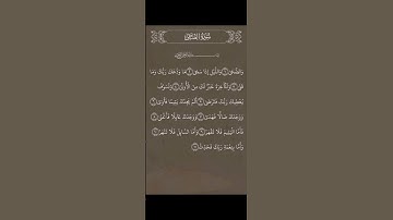 سورة الضحى تلاوة خاشعة