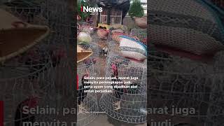 Arena Sabung Ayam Digerebek, Pejudi Panik hingga Panjat Pagar