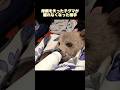母親を失った子グマが、離れなくなった相手