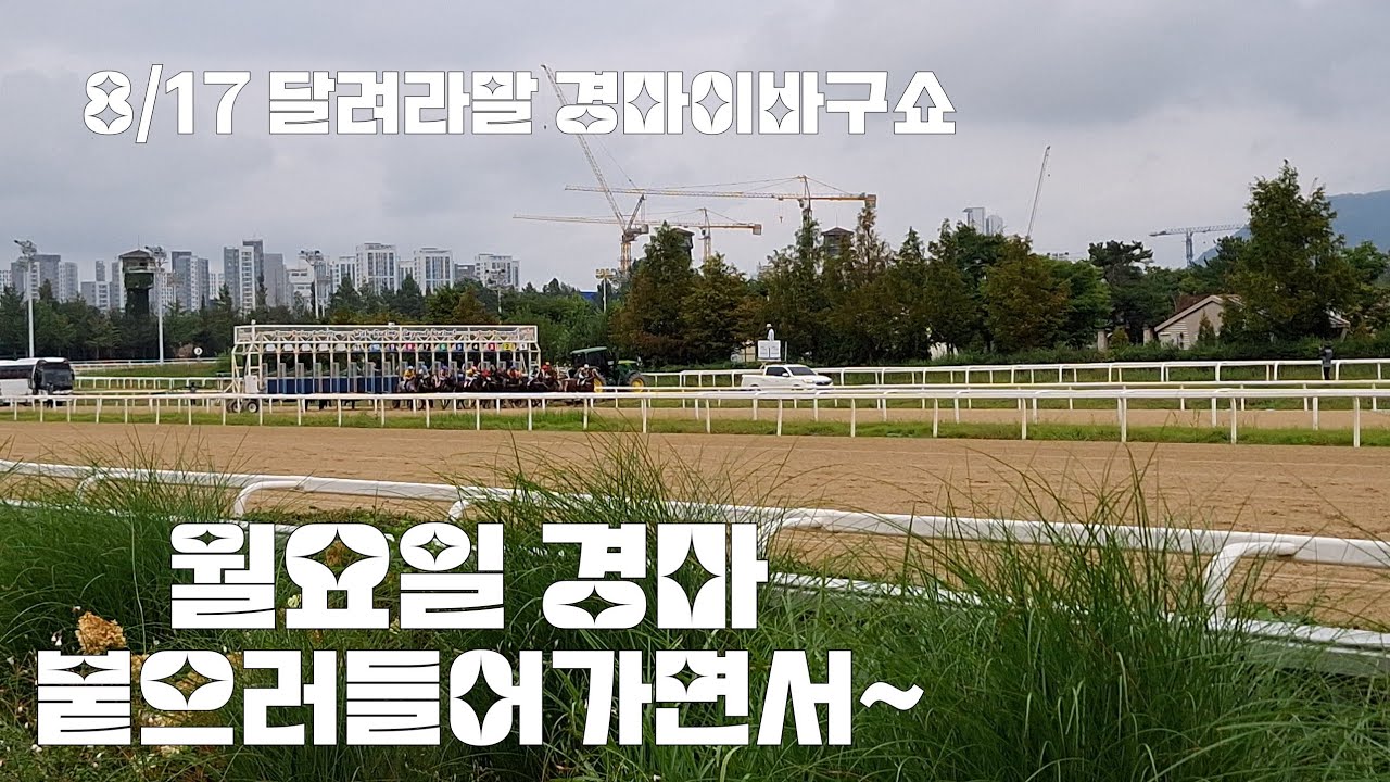 금.토,일.월요일 경마장 연타로 출근?