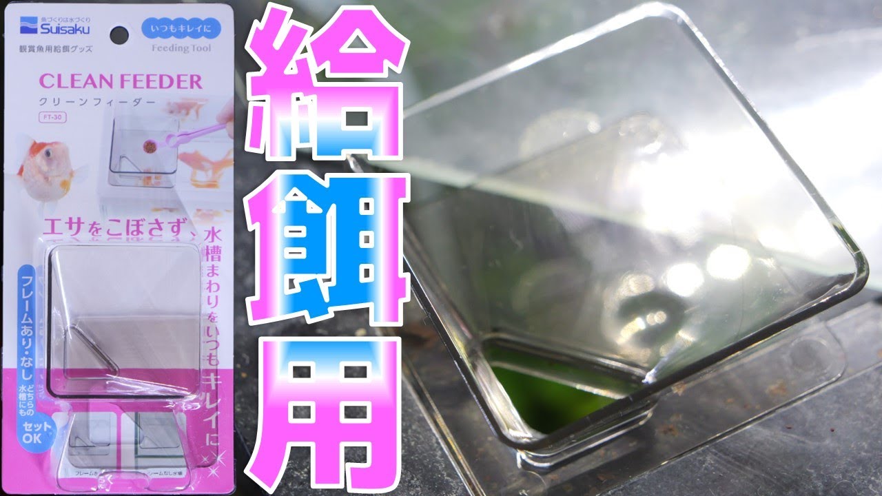 給餌器】周りに餌が飛び散らなくなるアイディア商品。水作 クリーン