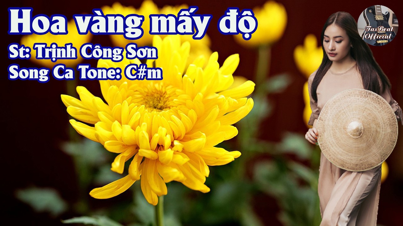 Karaoke Song Ca Hoa Vàng Mấy Độ | Song Ca & Tình Khúc