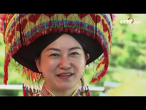 국산 망고를 세계로 이끄는 &amp;quot;망고 언니&amp;quot; 추제 | CCTV 한국어방송