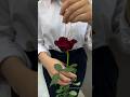 Best Romantic Gift for your Wife on Birthday/Anniversary 💖💐