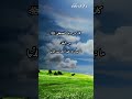 دعاء مهم من أدعية النبي ﷺ بصوت الشيخ سعود الشريم