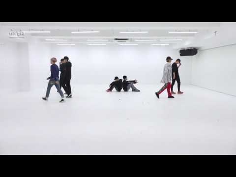 BTS - 봄날 (Spring Day) Dance Practice (Mirrored)