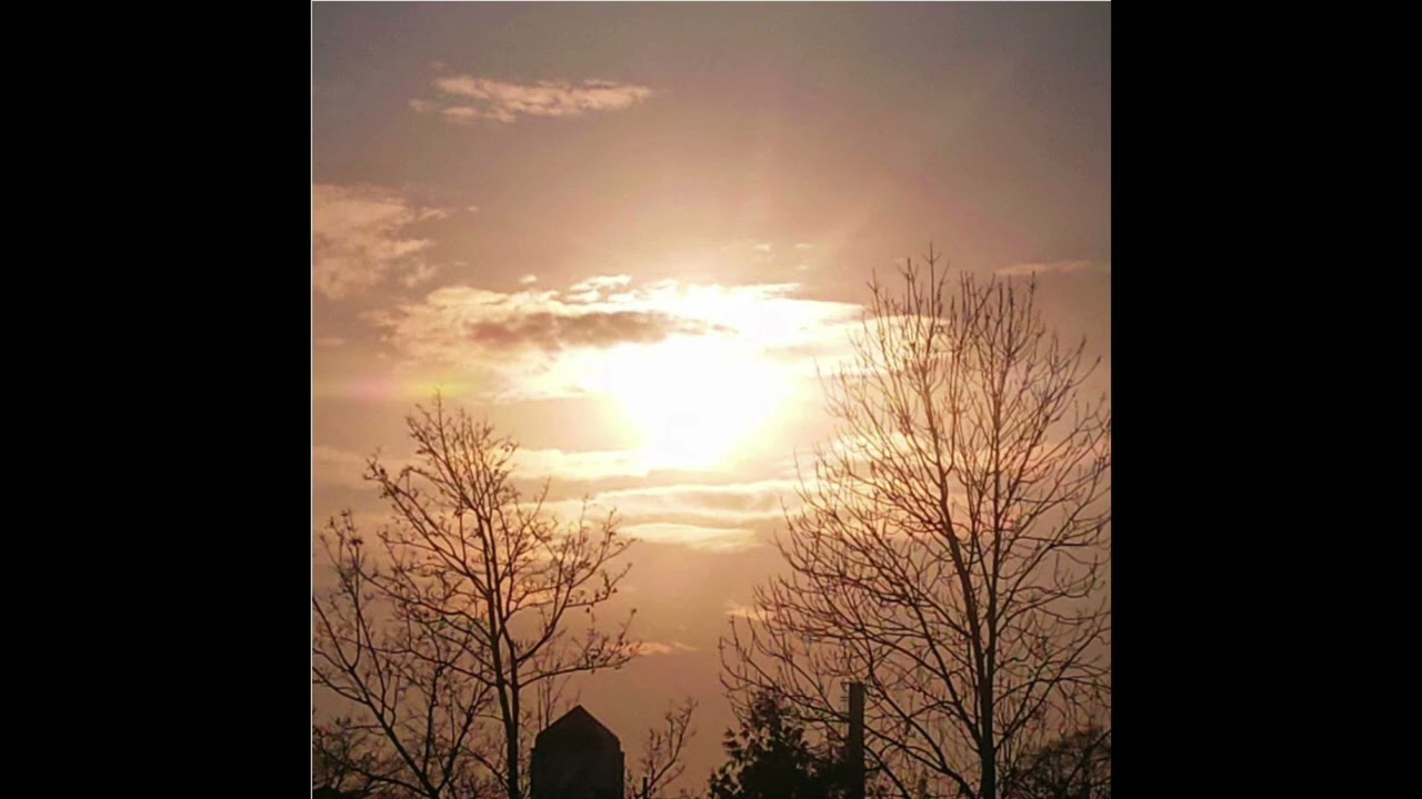 Joy and Pleasure - Garden