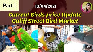 Current Exotic Bird Price Update||Galiff Street Bird Market Kolkata|||| Part 1