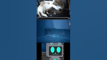 Sad Robot | The Entropy Centre with the Cats #shorts