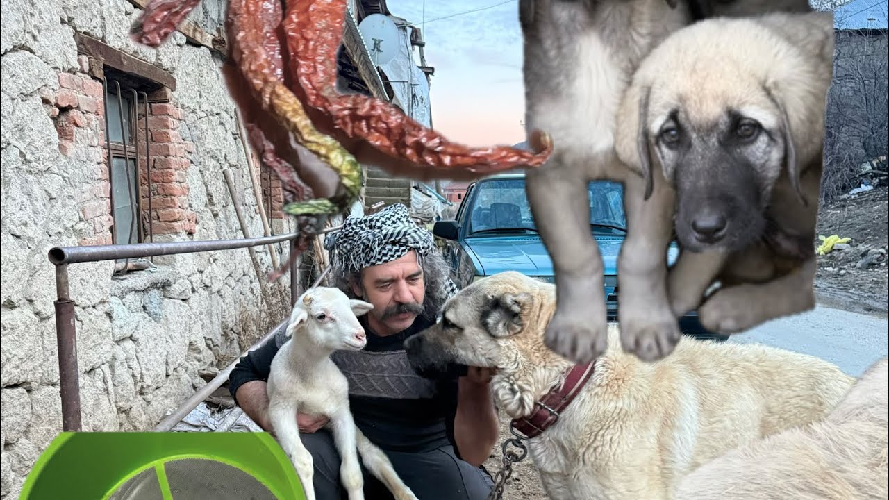  KÖY Yerinde iki günde hem bahar hemde kış yaşadık