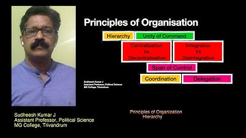 Hierarchy: Principles of Organisation