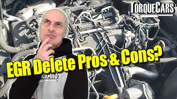 EGR Delete? Pros & Cons of EGR Off vs On? Benefits & Drawbacks With & Without EGR